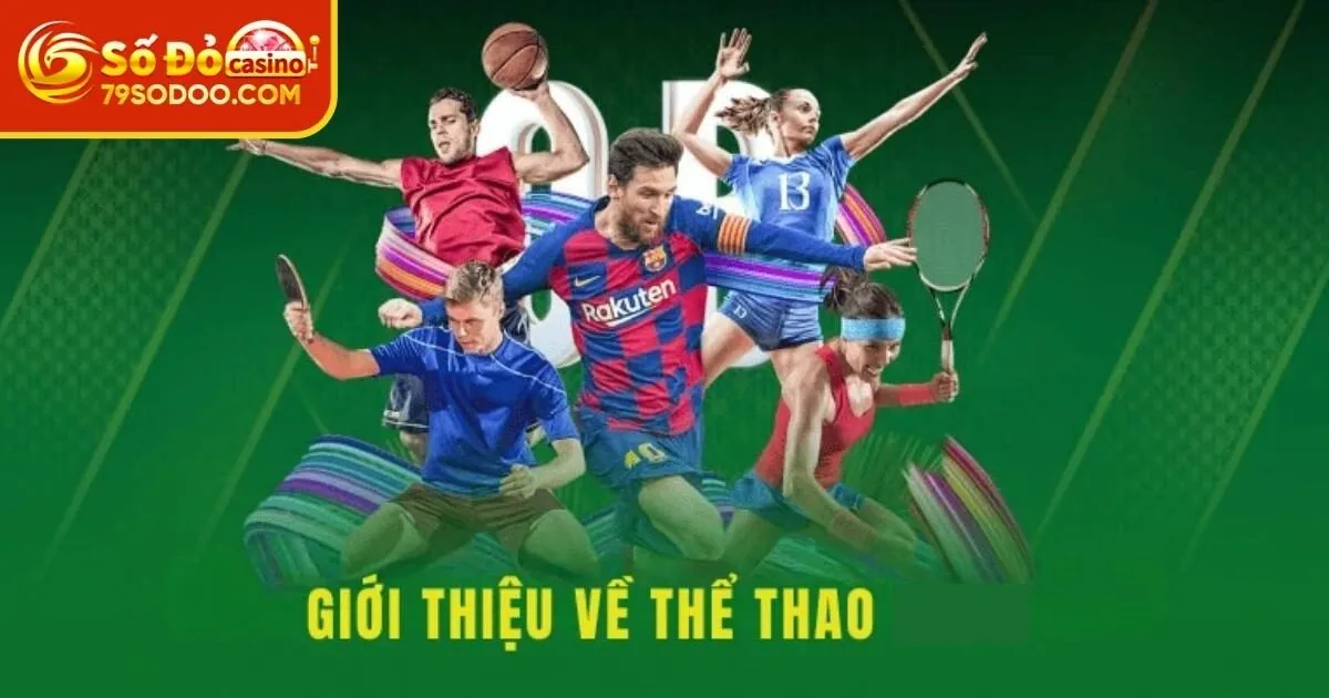 Đôi nét về TP Sports 79Sodo