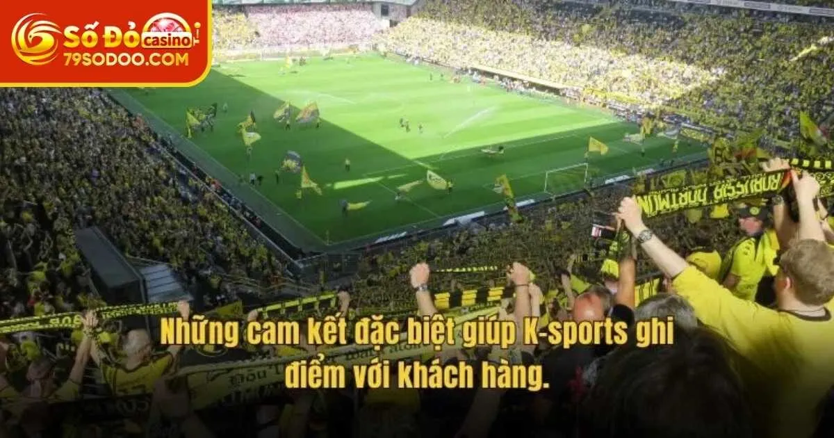 Những điểm thu hút tại K - Sports 79Sodo
